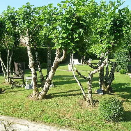 Domaine De La Freynelle