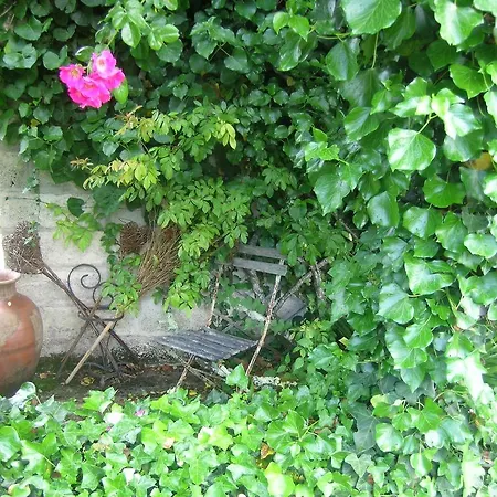 Bed & Breakfast Domaine De La Freynelle