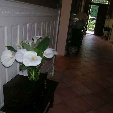 Bed & Breakfast Domaine De La Freynelle