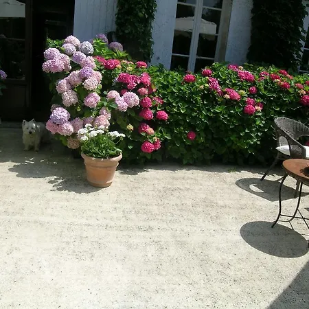 Bed & Breakfast Domaine De La Freynelle *