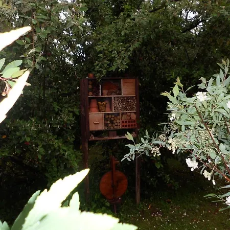 Bed & Breakfast Domaine De La Freynelle Espiet